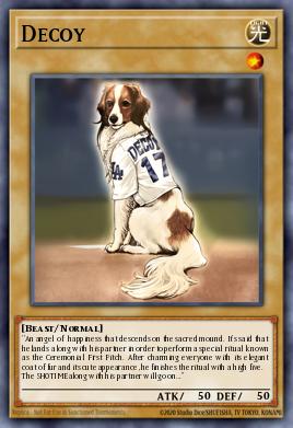 Decoy