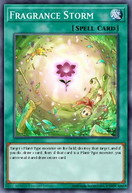 Fragrance Storm
