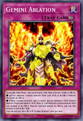 Gemini Ablation